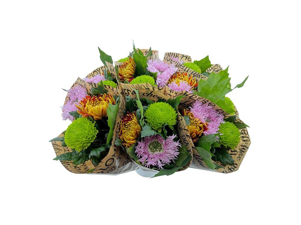 Срезанные цветы оптом Bouquet mix chrysanthemum от 8шт из Голландии с доставкой по России