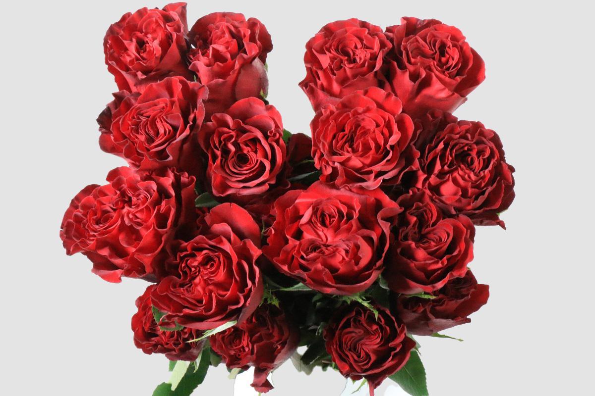 Срезанные цветы оптом Rosa ec hearts от 125шт из Голландии с доставкой по России