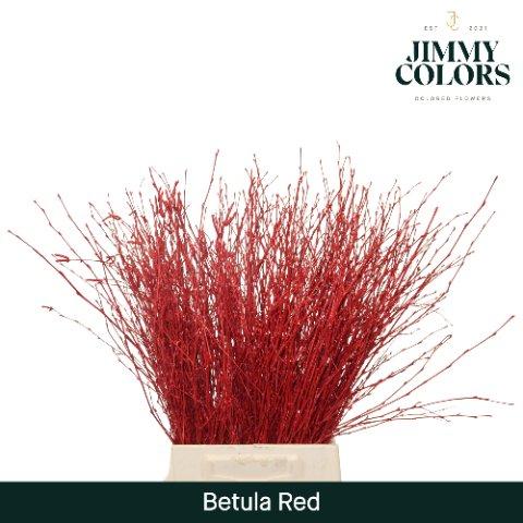 Срезанные цветы оптом Betula paint red от 20шт из Голландии с доставкой по России