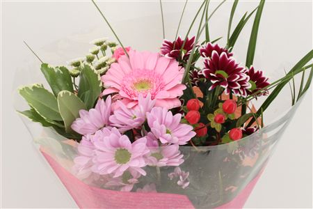 Срезанные цветы оптом Bouquet micro pink от 10шт из Голландии с доставкой по России