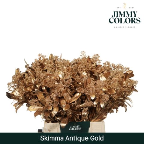 Срезанные цветы оптом Skimmia paint antique gold + glitter от 10шт. из Голландии с доставкой по России