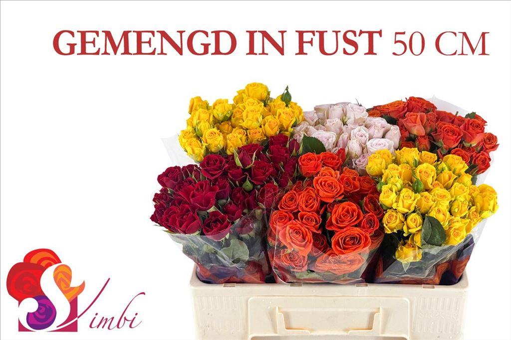 Срезанные цветы оптом Rosa spray mix in bucket от 350шт из Голландии с доставкой по России