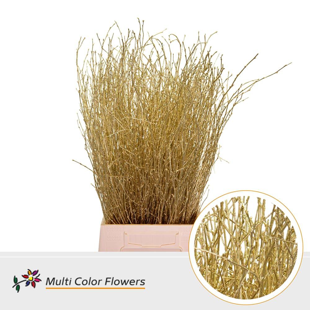 Срезанные цветы оптом Betula paint gold A от 100шт из Голландии с доставкой по России
