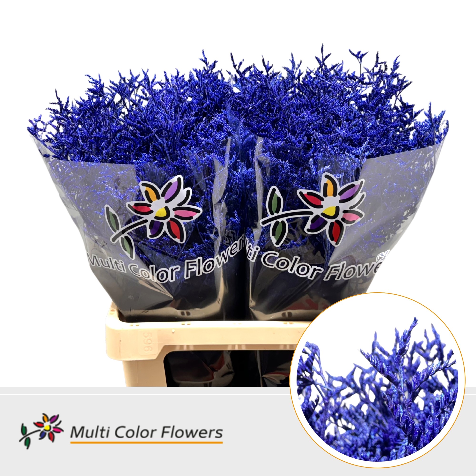 Срезанные цветы оптом Limonium paint metallic blue dark от 50шт из Голландии с доставкой по России