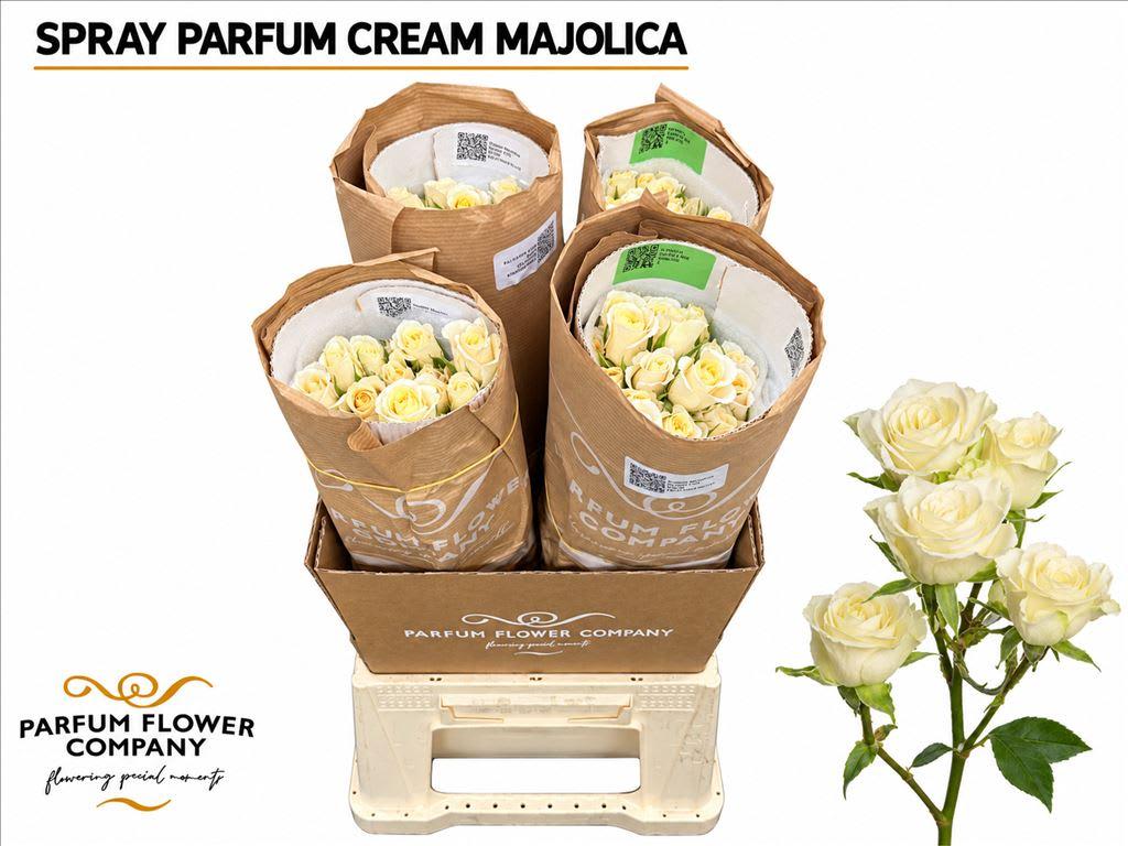 Срезанные цветы оптом Rosa spray garden cream majolica от 24шт из Голландии с доставкой по России