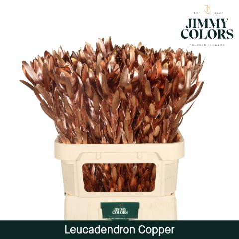 Срезанные цветы оптом Leucadendron paint metallic copper от 10шт из Голландии с доставкой по России