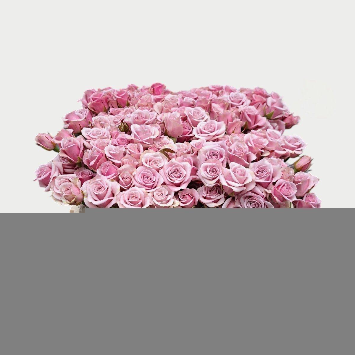 Срезанные цветы оптом Rosa spray leila от 50шт.. из Голландии с доставкой по России