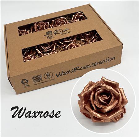 Срезанные цветы оптом Rosa large silk wax green от 12шт из Голландии с доставкой по России