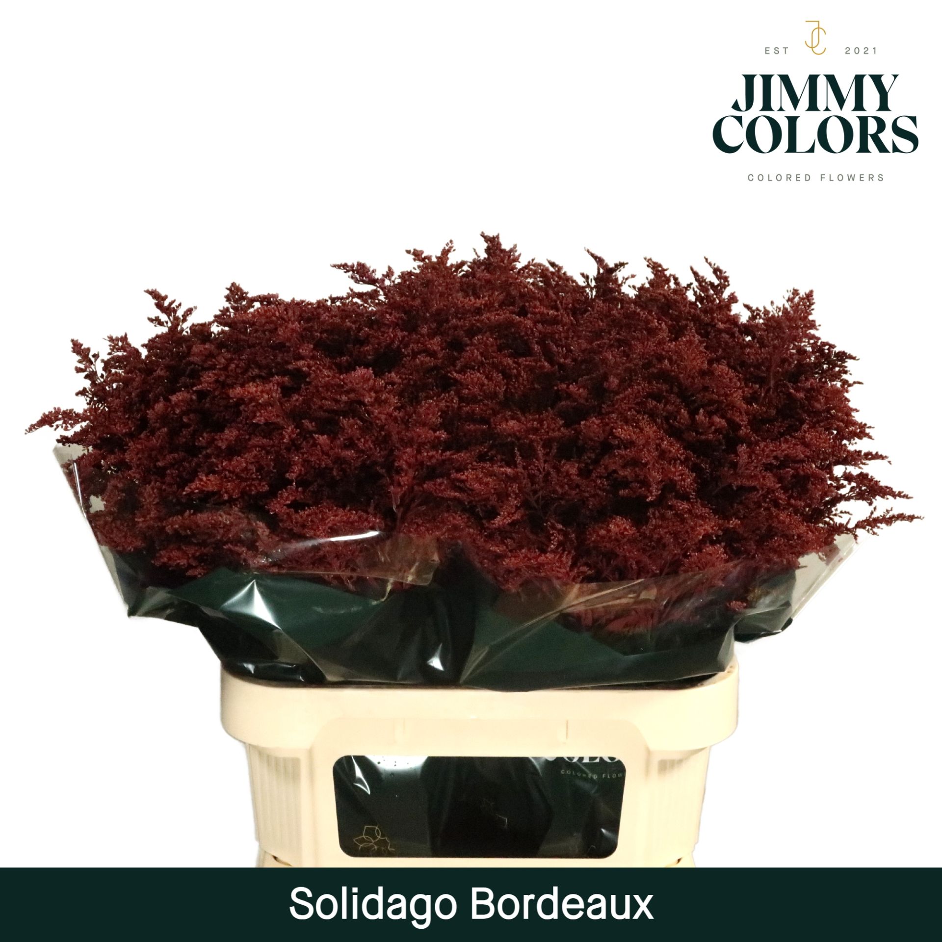 Срезанные цветы оптом Solidago paint bordeaux от 100шт из Голландии с доставкой по России