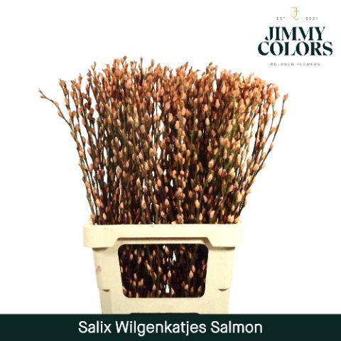 Срезанные цветы оптом Salix paint pussy willow salmon от 200шт из Голландии с доставкой по России