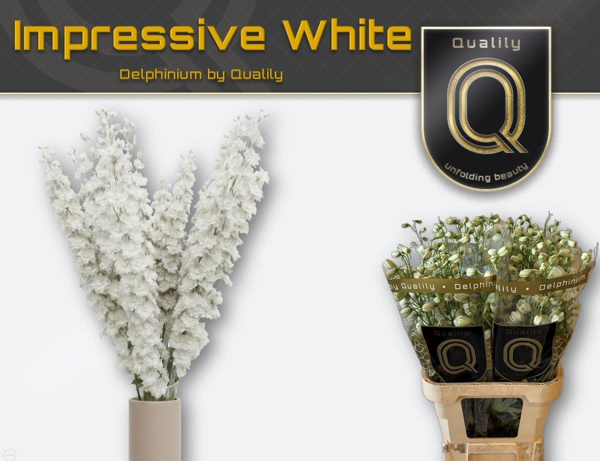 Срезанные цветы оптом Delphinium do el dewi impressive white от 40шт из Голландии с доставкой по России