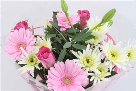 Срезанные цветы оптом Bouquet st pink 5 от 8шт из Голландии с доставкой по России