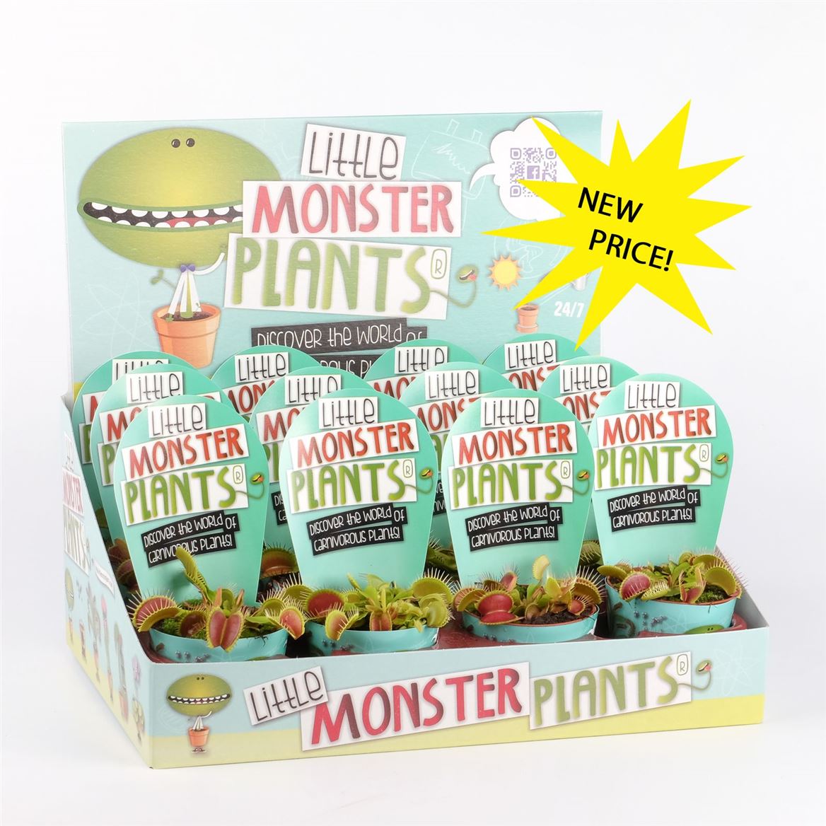 Горшечные цветы и растения оптом Little Monster Plants Dionaea In Displaydoos от 12шт (для телеги) из Голландии с доставкой по России