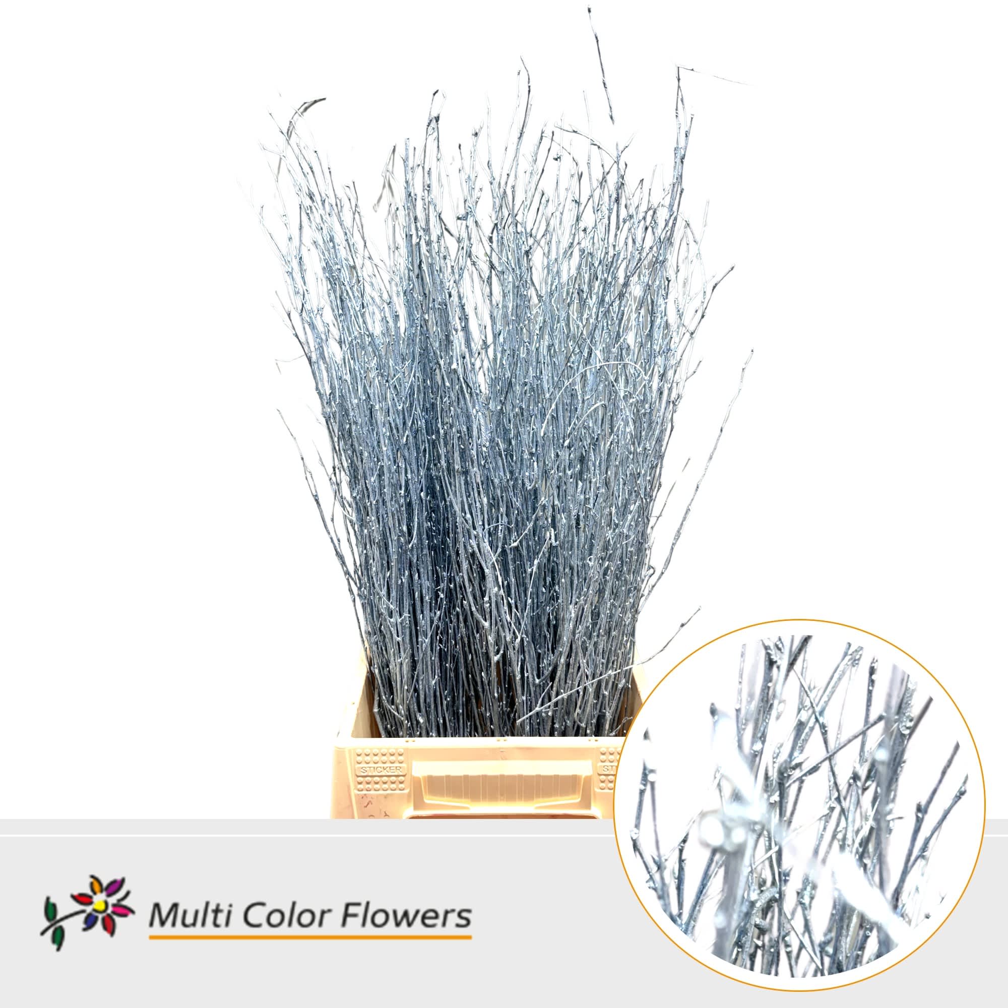 Срезанные цветы оптом Betula paint metallic blue light от 100шт из Голландии с доставкой по России