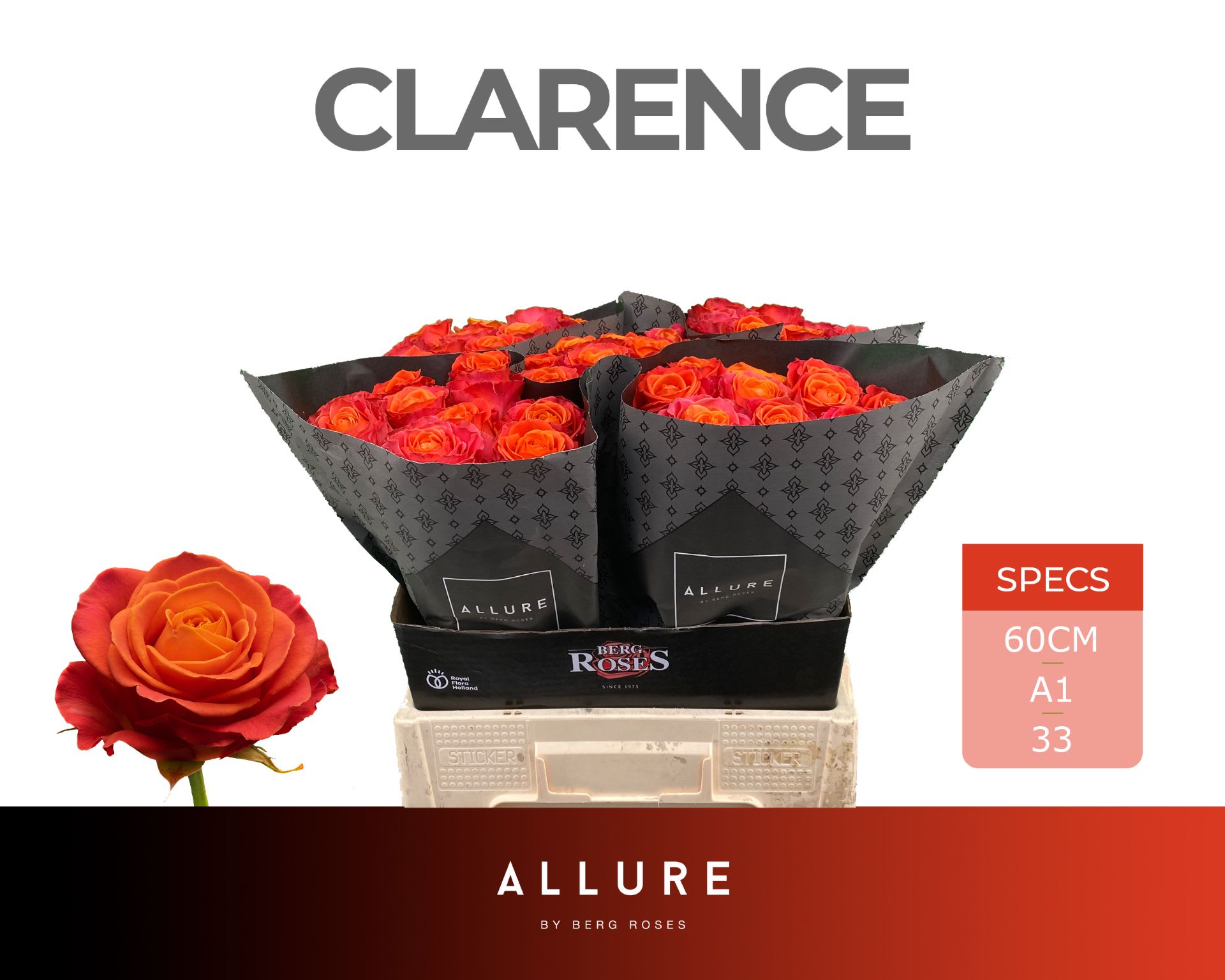 Срезанные цветы оптом Rosa large clarence от 50шт. из Голландии с доставкой по России