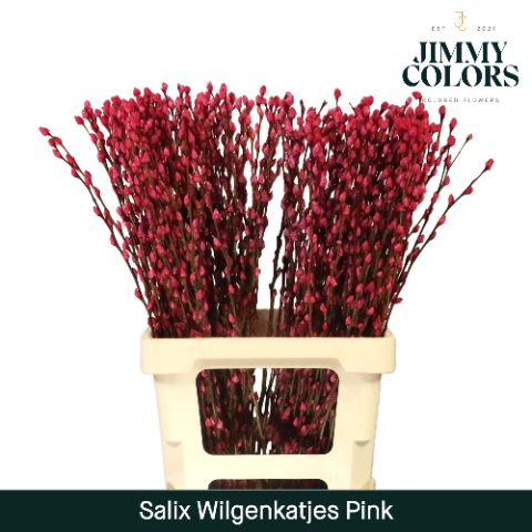 Срезанные цветы оптом Salix paint pussy willow pink от 50шт из Голландии с доставкой по России