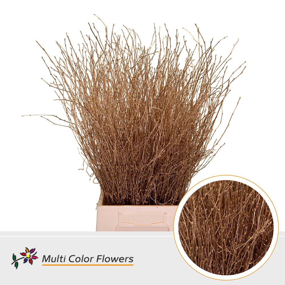 Срезанные цветы оптом Betula paint antique от 100шт из Голландии с доставкой по России