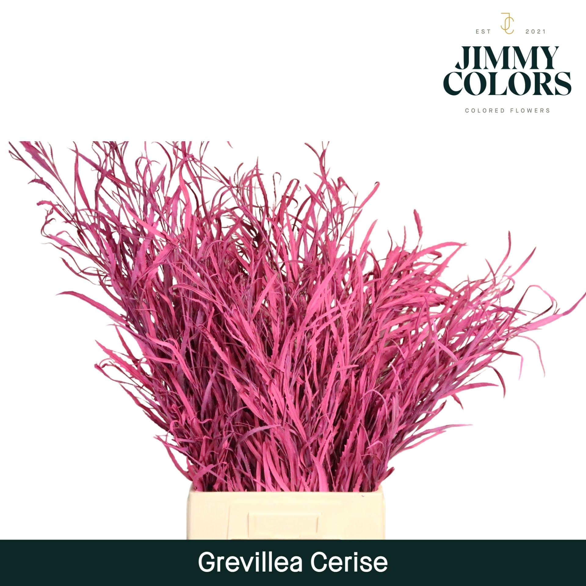 Срезанные цветы оптом Grevillea paint cerise от 10шт из Голландии с доставкой по России