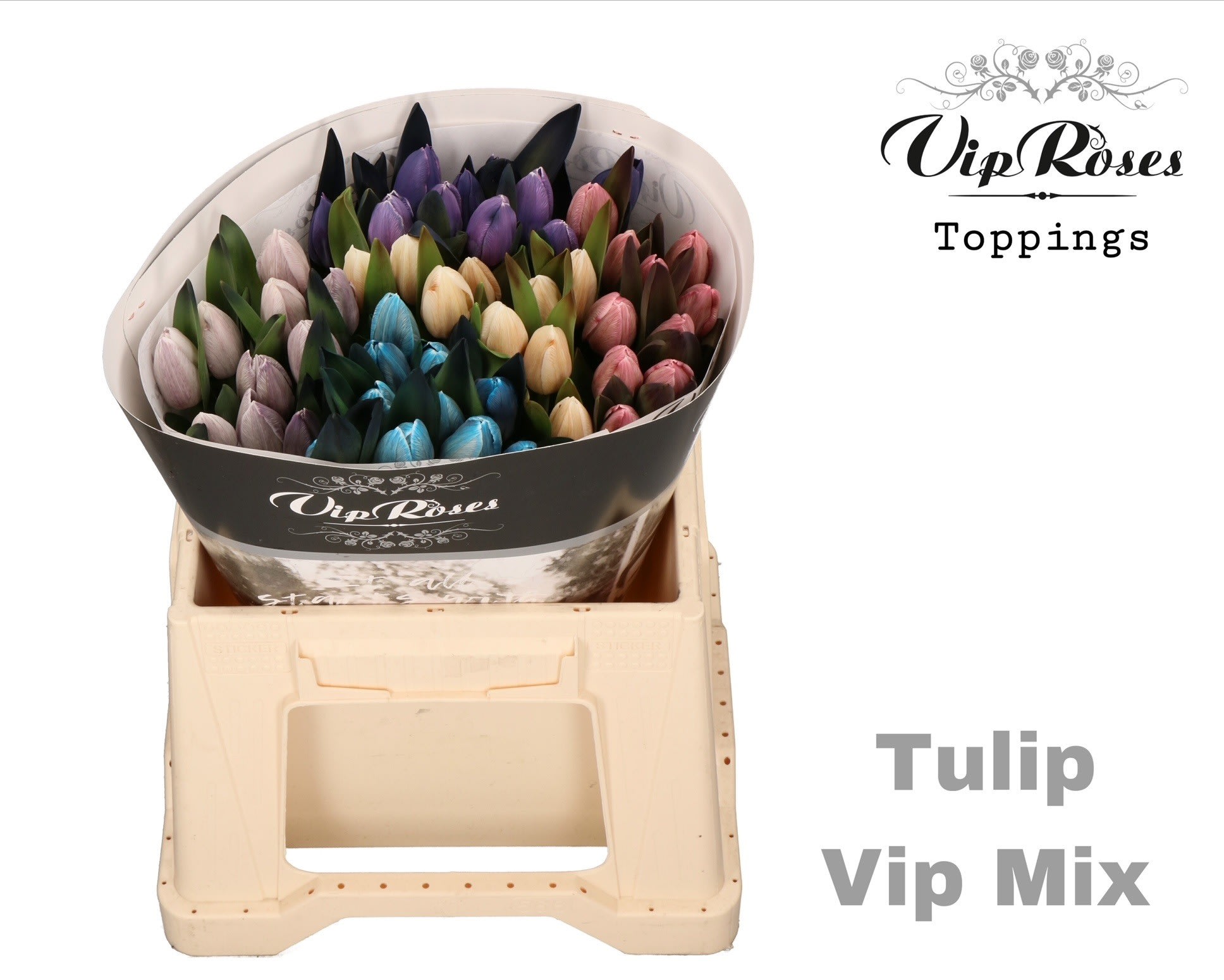 Срезанные цветы оптом Tulipa si paint mix от 50шт из Голландии с доставкой по России