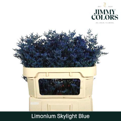 Срезанные цветы оптом Limonium paint blue от 25шт из Голландии с доставкой по России