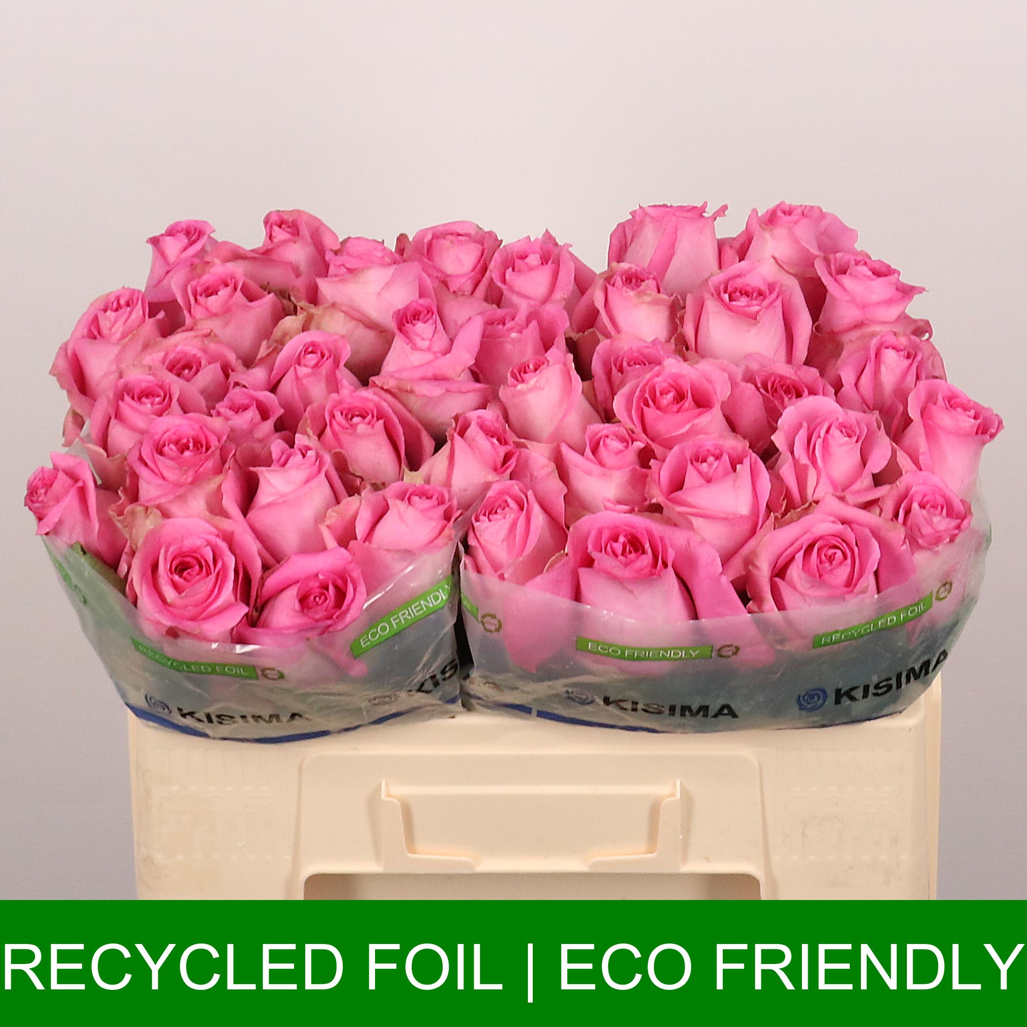 Срезанные цветы оптом Rosa large revival от 50шт из Голландии с доставкой по России