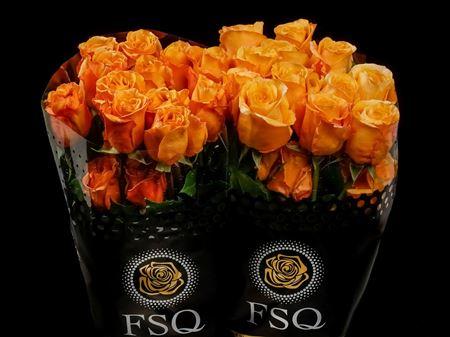 Срезанные цветы оптом Rosa ec capriccio от 40шт из Голландии с доставкой по России