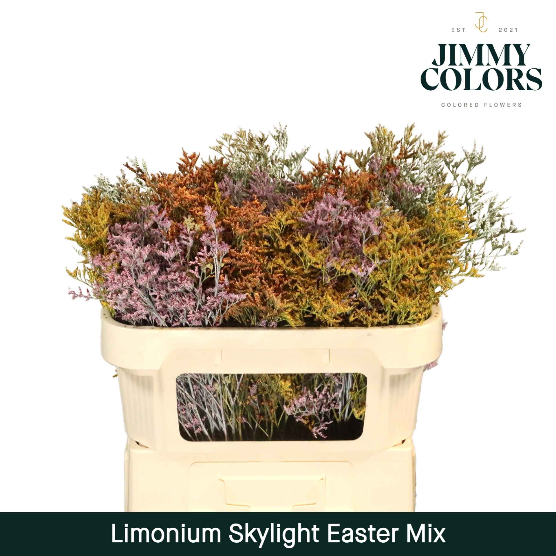 Срезанные цветы оптом Limonium paint mix easter от 75шт из Голландии с доставкой по России