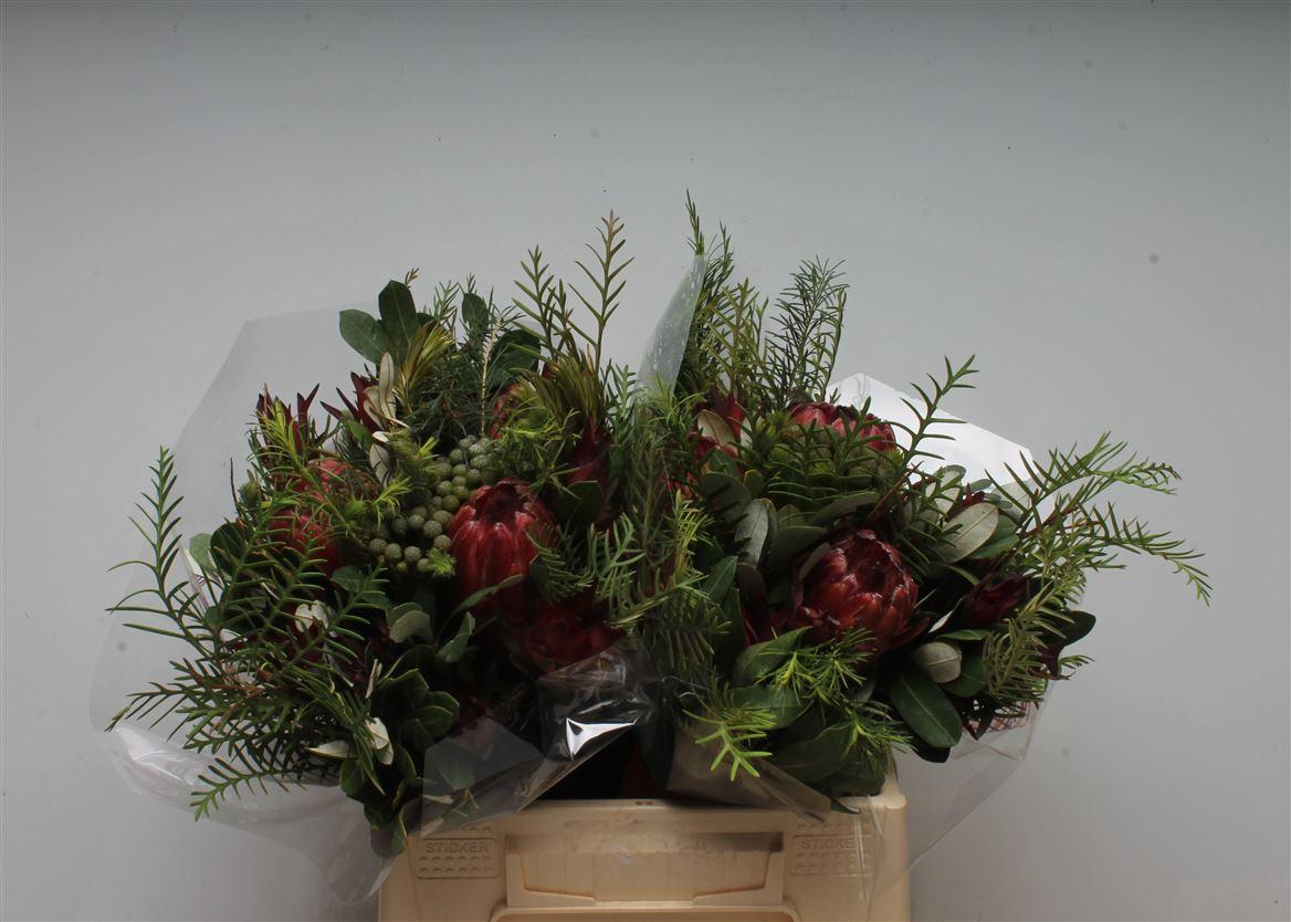 Срезанные цветы оптом Protea bq round special от 2шт из Голландии с доставкой по России