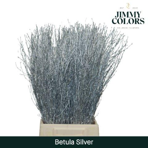 Срезанные цветы оптом Betula paint silver от 10шт из Голландии с доставкой по России