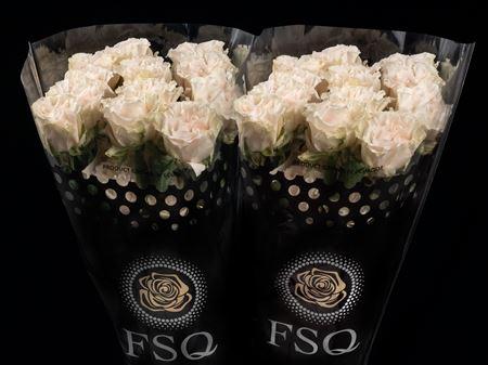 Срезанные цветы оптом Rosa ec cotton xpression от 40шт из Голландии с доставкой по России