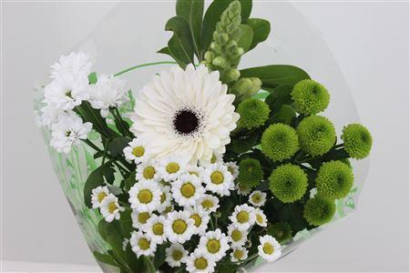 Срезанные цветы оптом Bouquet 5-7 stem white от 10шт из Голландии с доставкой по России