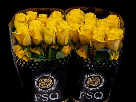 Срезанные цветы оптом Rosa ec goldfinch от 40шт из Голландии с доставкой по России
