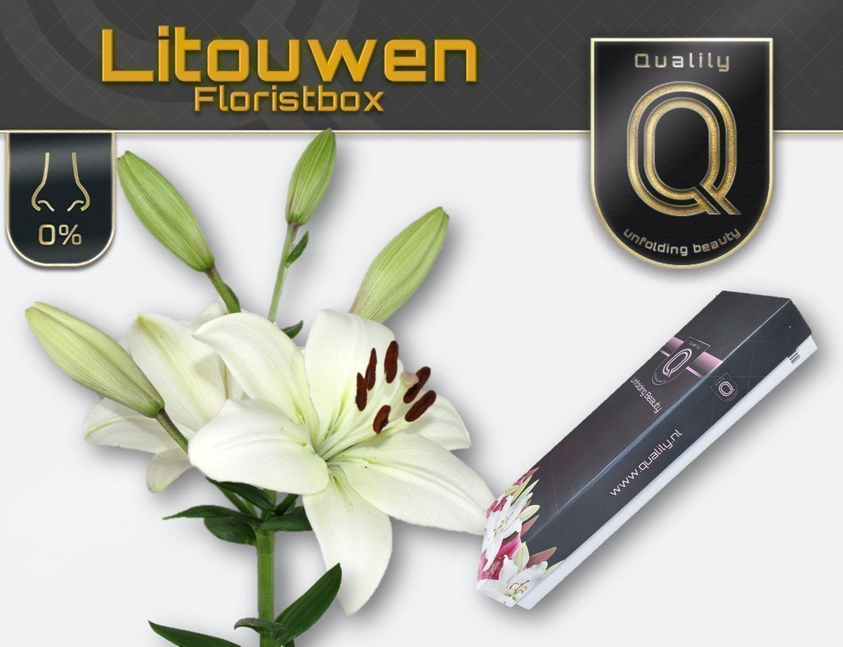 Срезанные цветы оптом Lilium la litouwen от 100шт из Голландии с доставкой по России