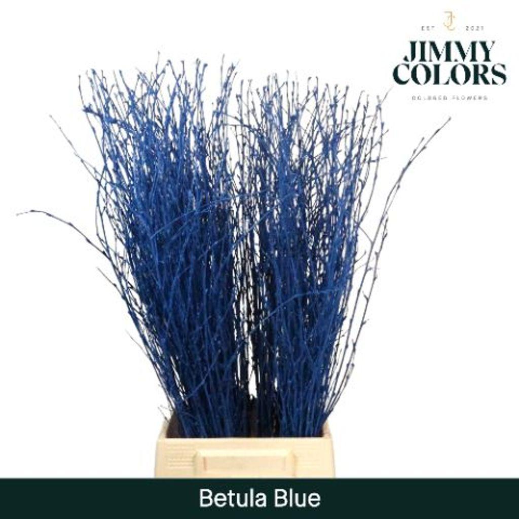 Срезанные цветы оптом Betula paint blue от 10шт из Голландии с доставкой по России