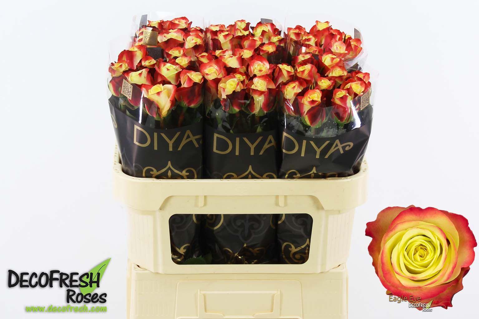 Срезанные цветы оптом Rosa large eagle eye+ от 60шт из Голландии с доставкой по России