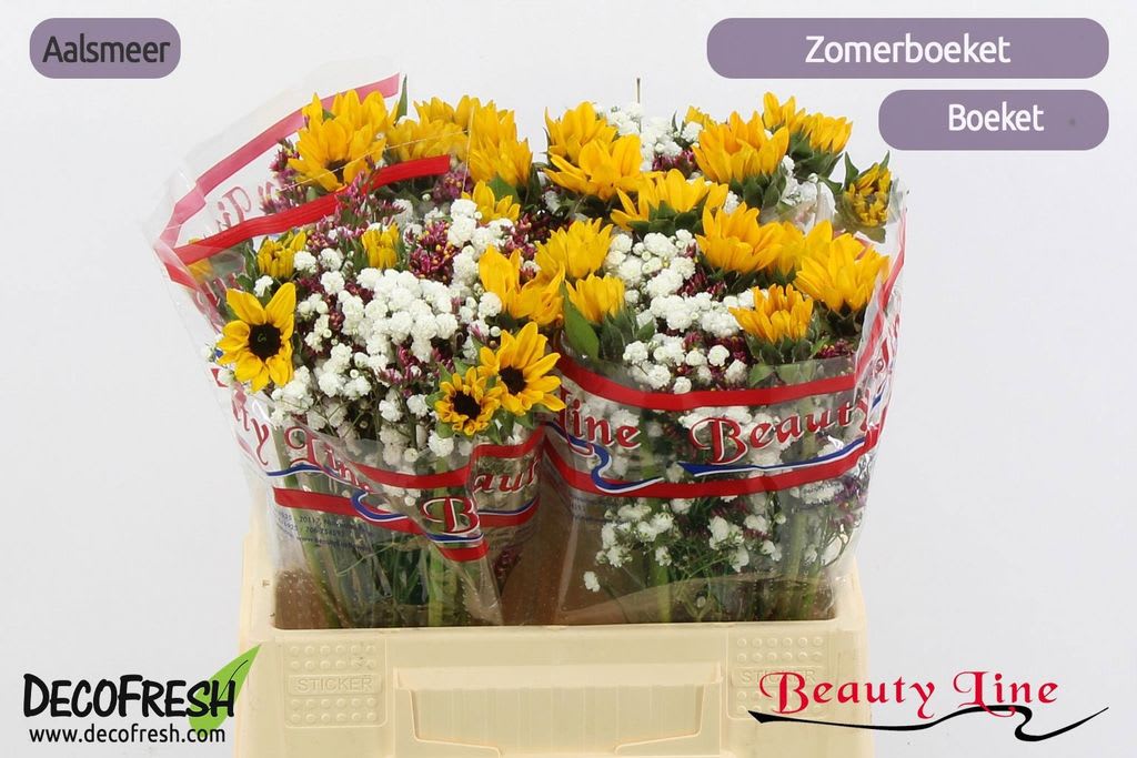 Срезанные цветы оптом Bouquet summer bouquet helianthus от 4шт из Голландии с доставкой по России