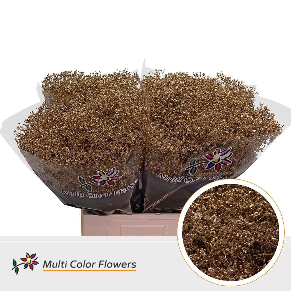 Срезанные цветы оптом Gyps mst paint antique от 100шт из Голландии с доставкой по России