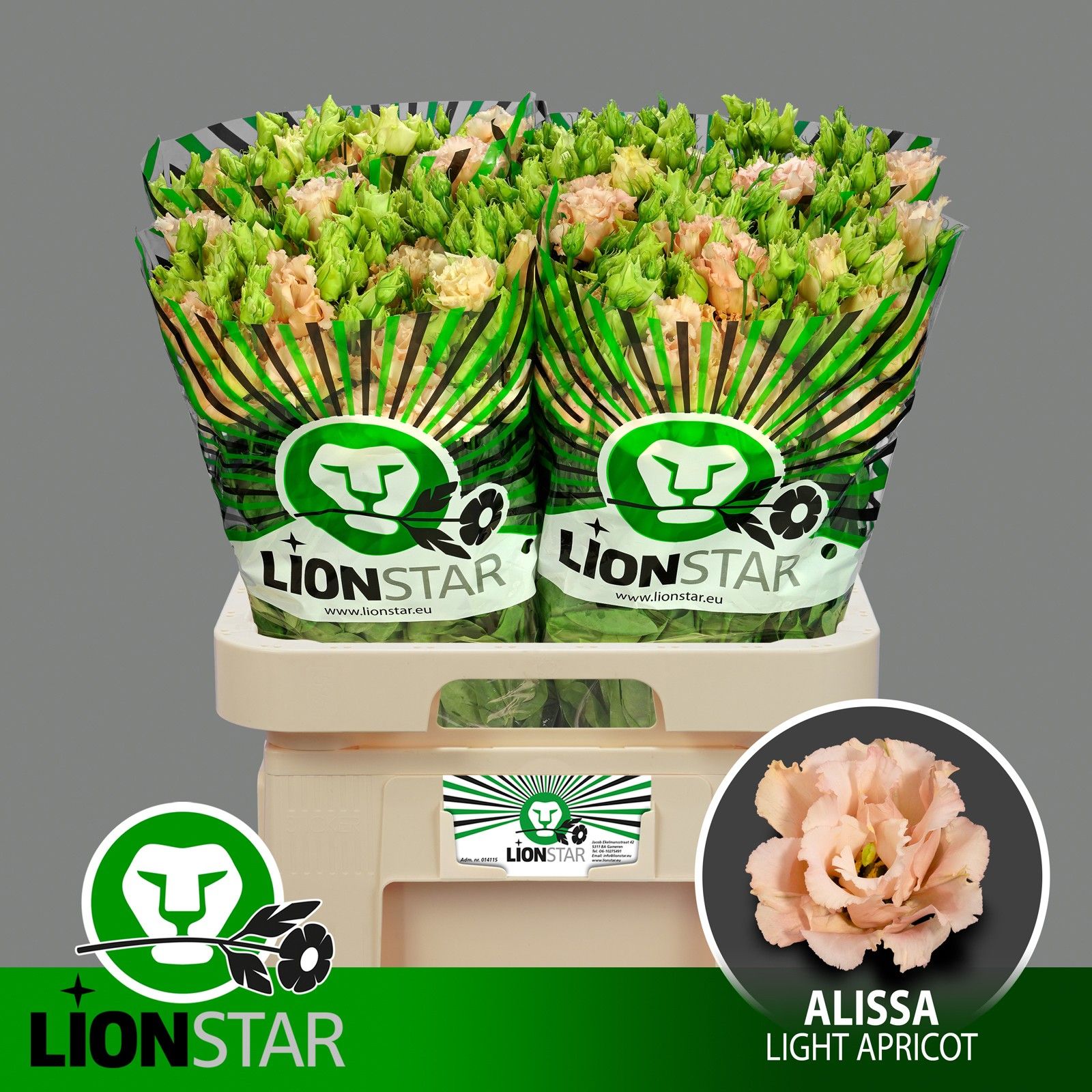 Срезанные цветы оптом Lisianthus do alissa light apricot от 40шт из Голландии с доставкой по России