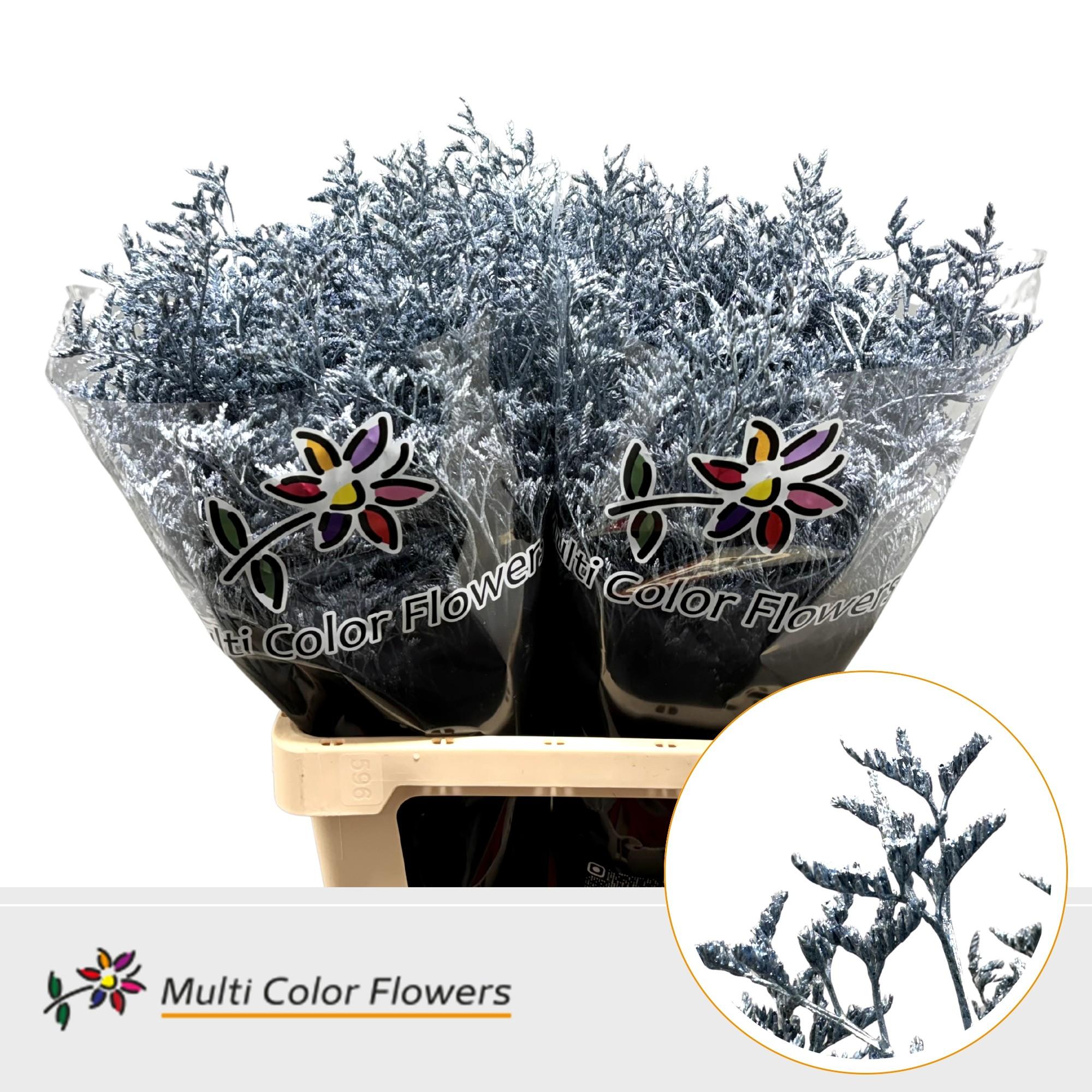 Срезанные цветы оптом Limonium paint metallic blue light от 50шт из Голландии с доставкой по России