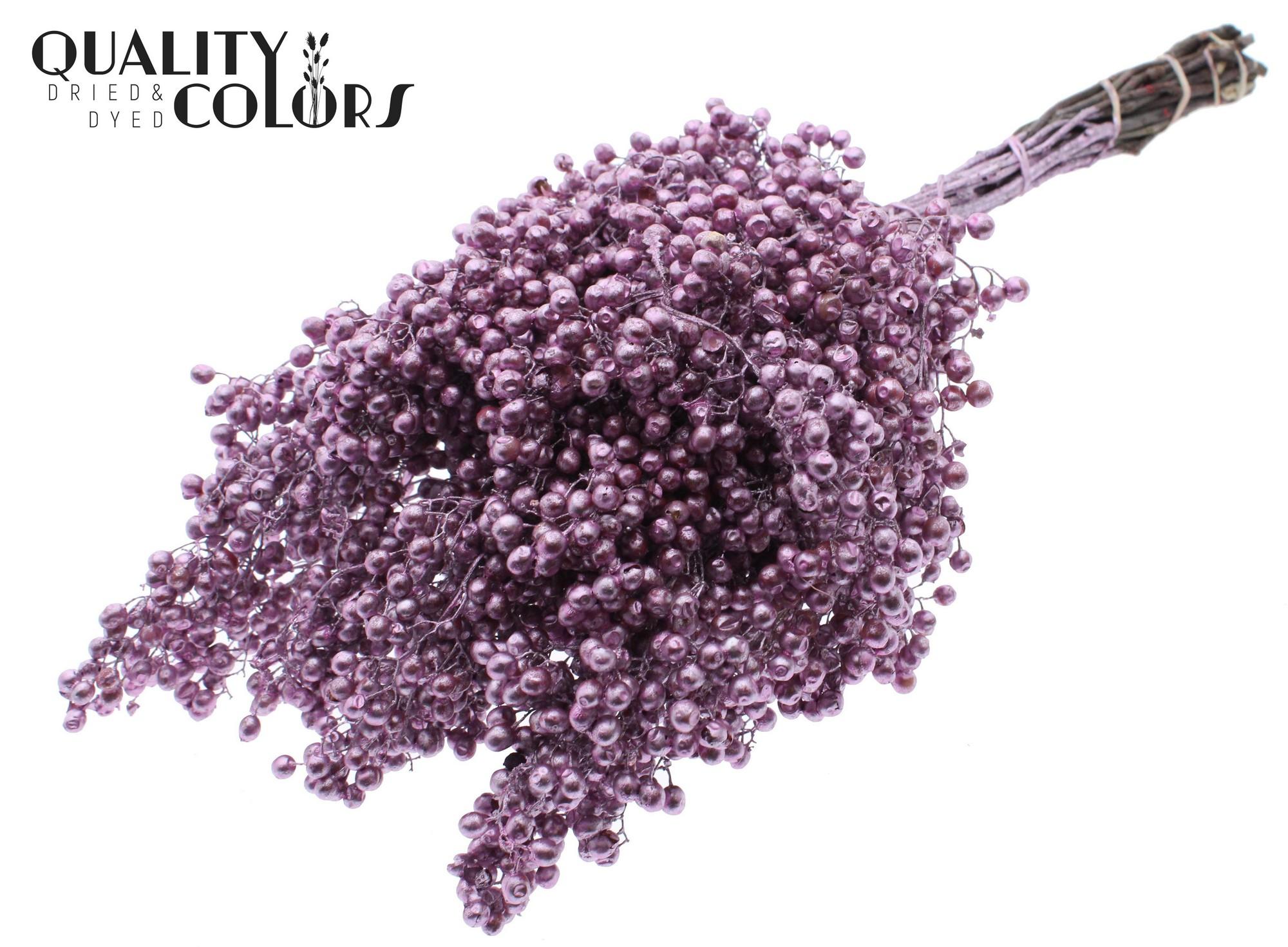 Срезанные цветы оптом Pepperberries per bunch in poly Metallic Pink от 5шт из Голландии с доставкой по России