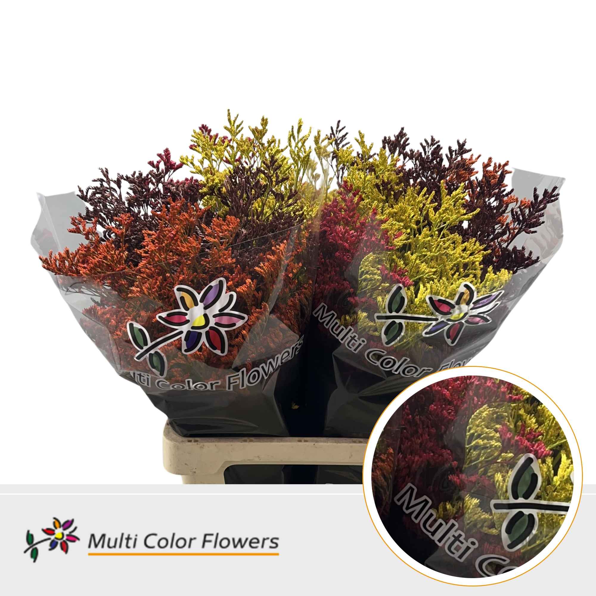 Срезанные цветы оптом Limonium paint mix autumn от 50шт из Голландии с доставкой по России