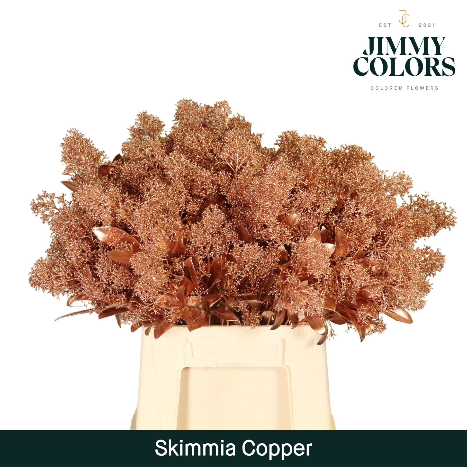 Срезанные цветы оптом Skimmia paint copper + glitter от 10шт из Голландии с доставкой по России