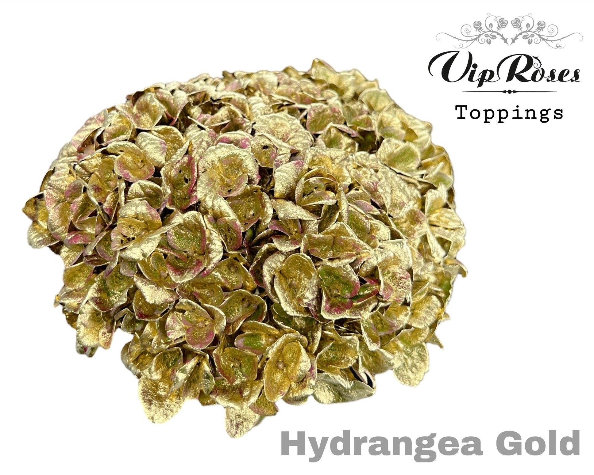 Срезанные цветы оптом Hydrangea paint gold от 10шт из Голландии с доставкой по России