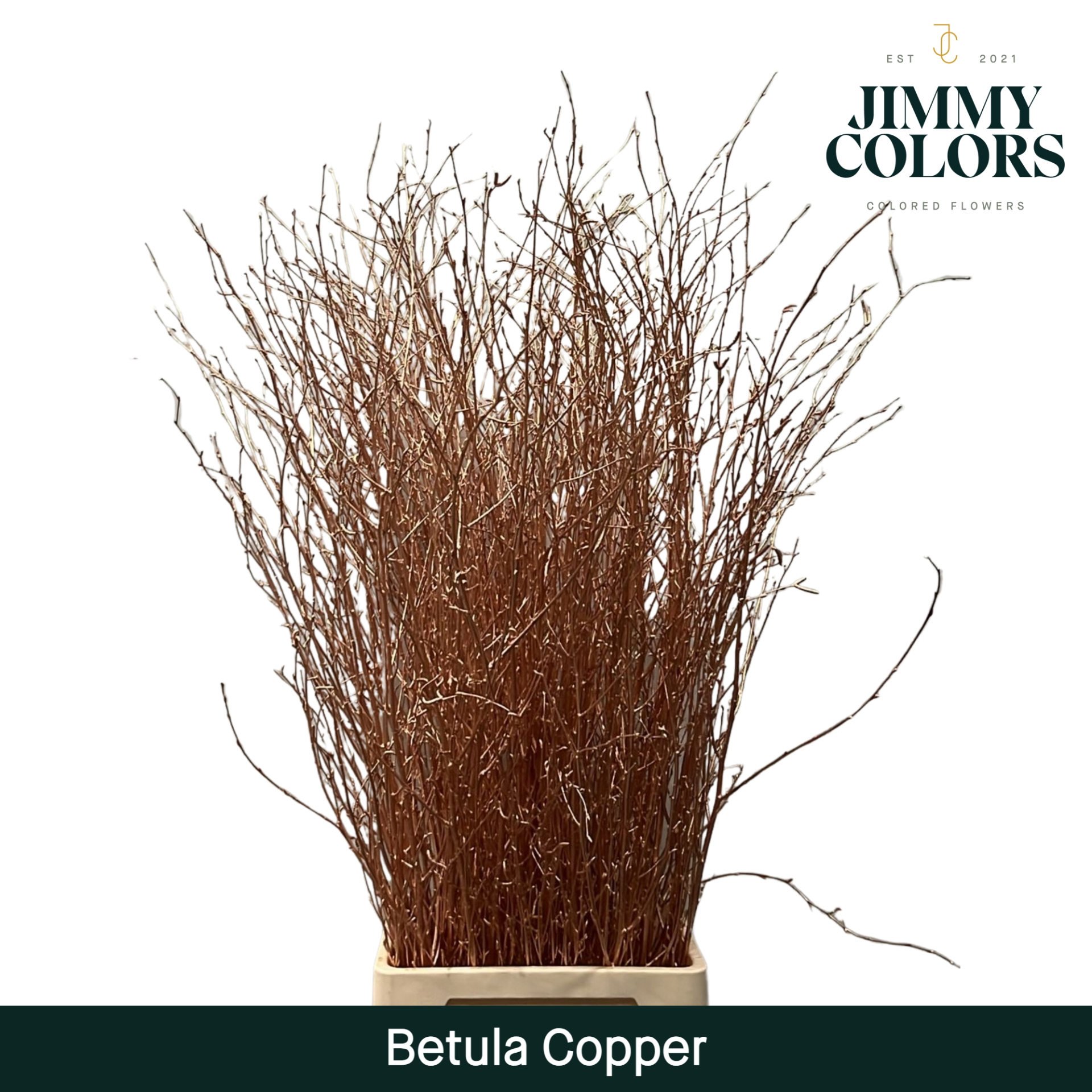 Срезанные цветы оптом Betula paint copper от 10шт. из Голландии с доставкой по России