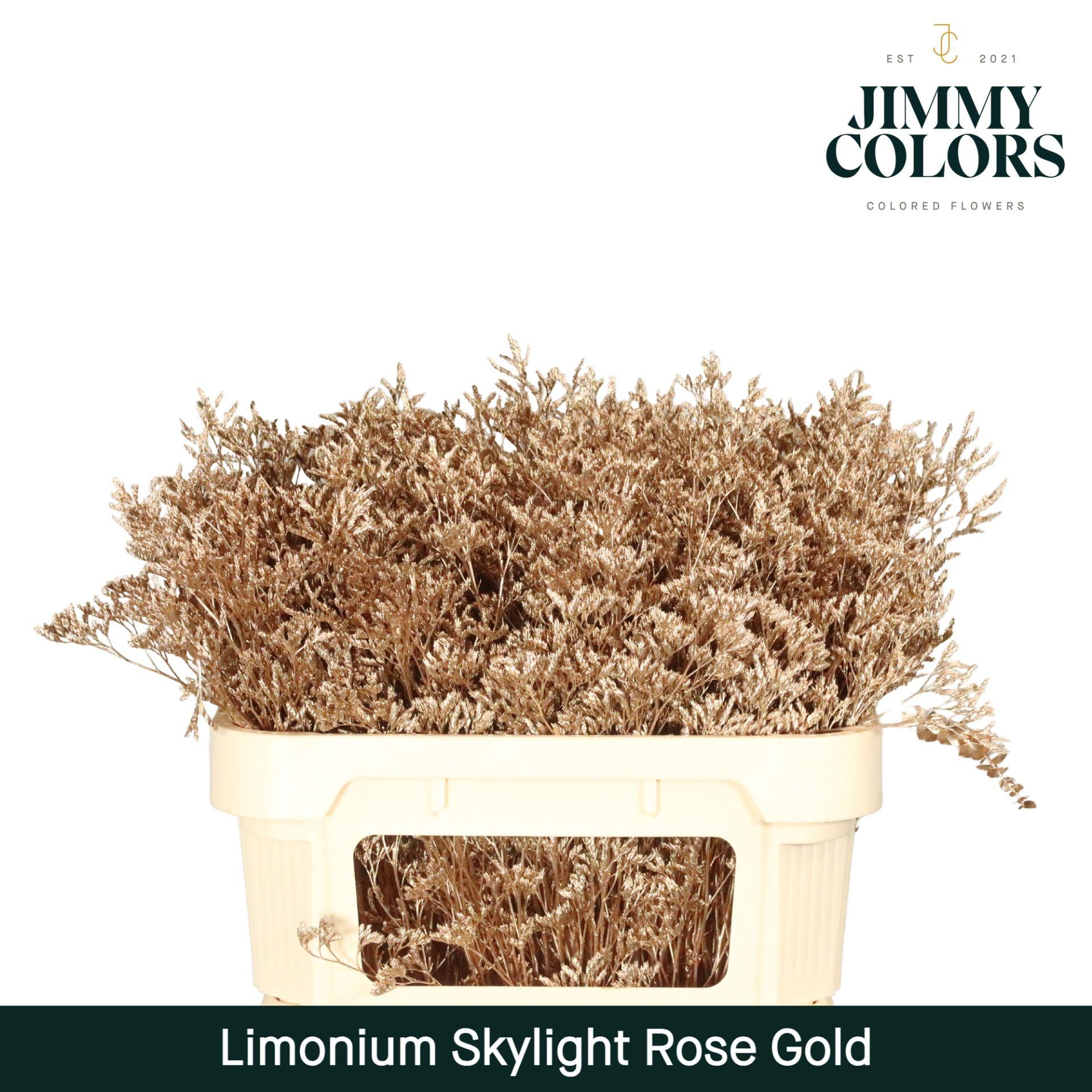 Срезанные цветы оптом Limonium paint pink gold от 25шт из Голландии с доставкой по России