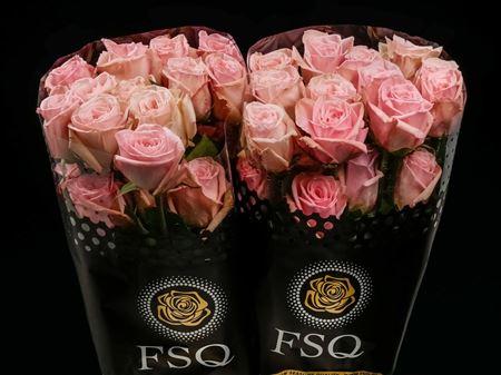 Срезанные цветы оптом Rosa garden ohara от 40шт из Голландии с доставкой по России