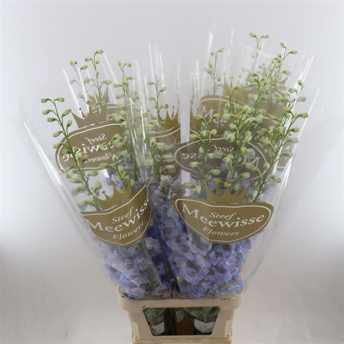 Срезанные цветы оптом Delphinium do dewi azul от 25шт из Голландии с доставкой по России