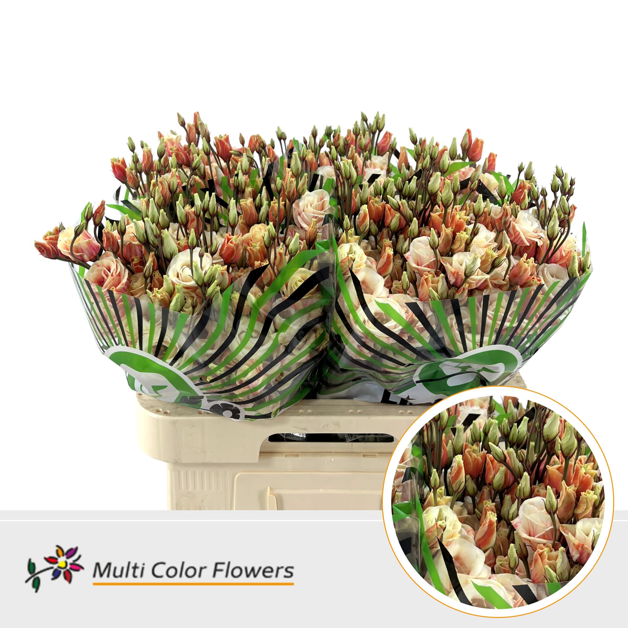 Срезанные цветы оптом Lisianthus do paint sunset от 40шт из Голландии с доставкой по России