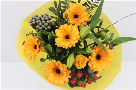 Срезанные цветы оптом Bouquet luna yellow от 3шт из Голландии с доставкой по России