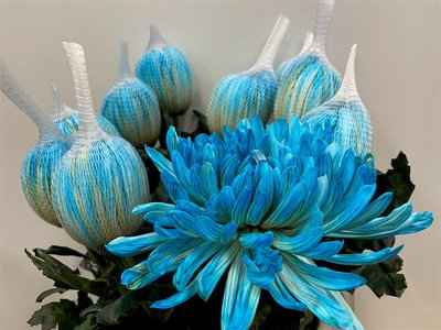 Срезанные цветы оптом Chrys bl paint antonov blue bay от 40шт из Голландии с доставкой по России